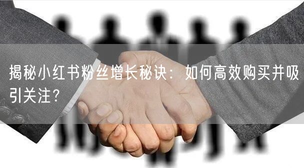 揭秘小红书粉丝增长秘诀：如何高效购买并吸引关注？