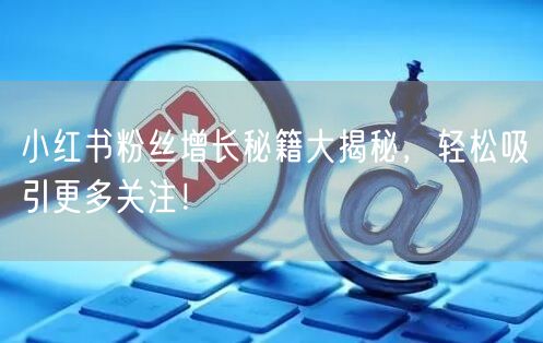 小红书粉丝增长秘籍大揭秘，轻松吸引更多关注！